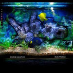 Rick Wilhite: Analog Aquarium (Still Music LP+CD 004)