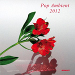 Popnoname: Pop Ambient - Momente
