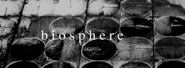 Biosphere @ Substrata 1.1